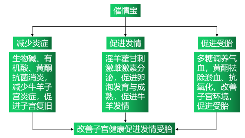 6114d39a862a0
