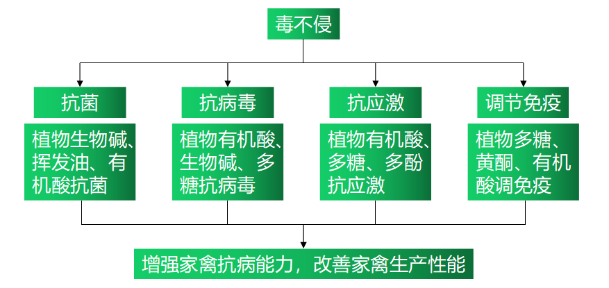 6115c6063522e