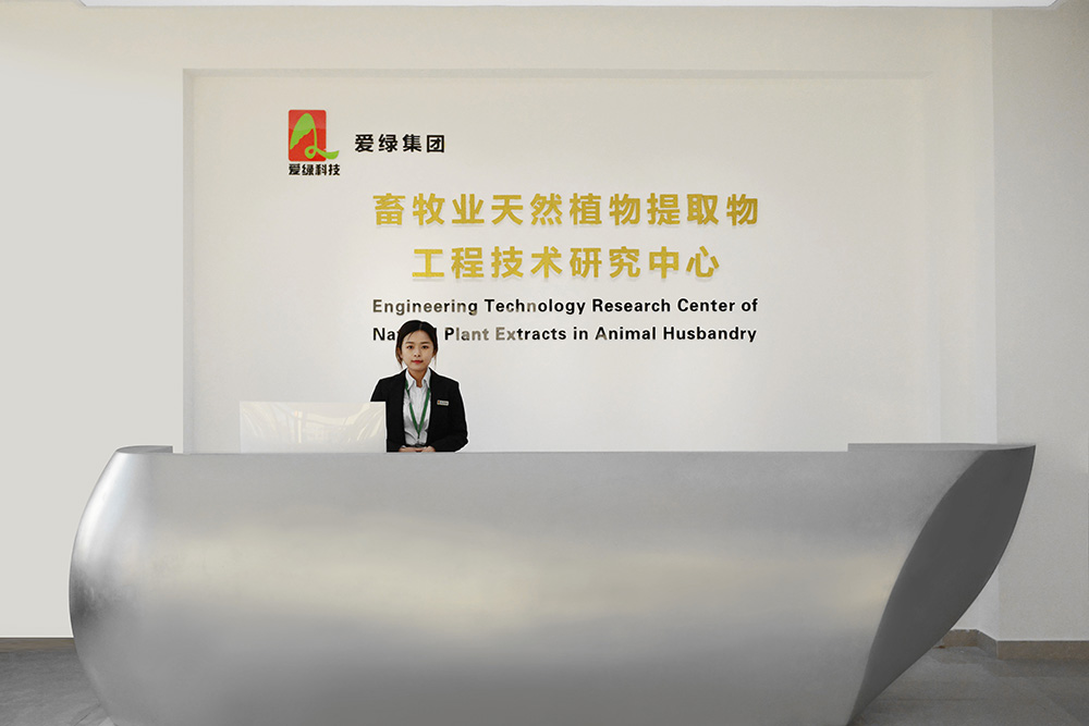 J9国际站备用【唯一】官方网站