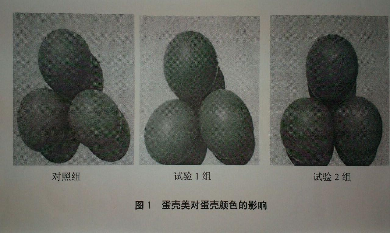 J9国际站备用【唯一】官方网站